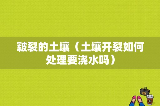 皲裂的土壤（土壤开裂如何处理要浇水吗）