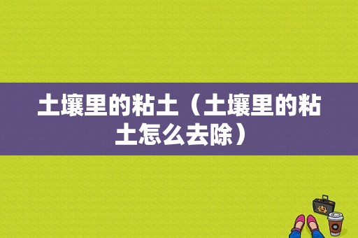 土壤里的粘土（土壤里的粘土怎么去除）-图1