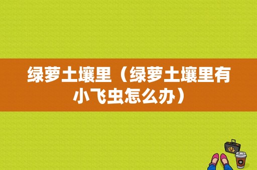 绿萝土壤里（绿萝土壤里有小飞虫怎么办）