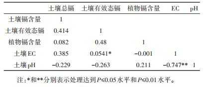 土壤钝化是什么意思（钝化反应是什么意思）