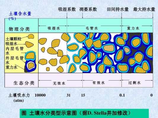 土壤的水（土壤的水分类型）