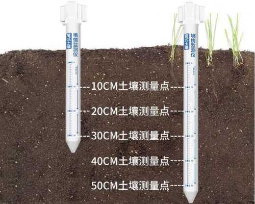 土壤里的墒（什么是土壤的墒情）