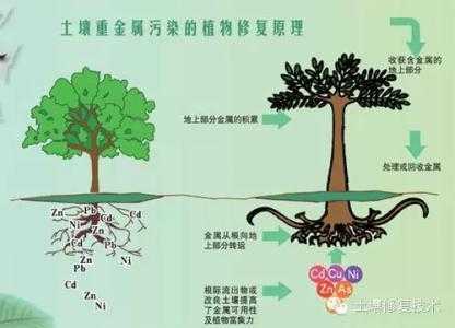 广钢土壤修复的简单介绍-图1