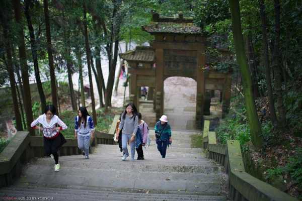 包含缙云山土壤的词条