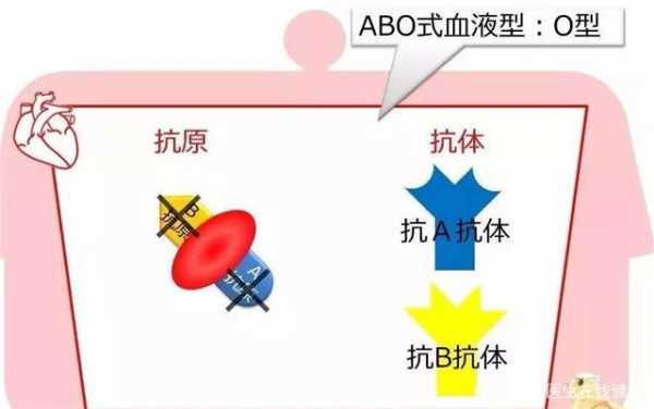 土壤免疫力（免疫力最强的血型）-图3