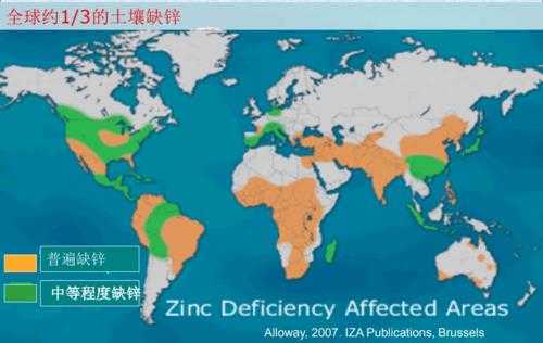 土壤免疫力（免疫力最强的血型）-图1