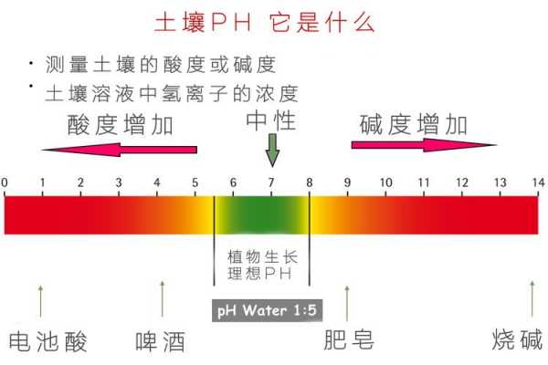 如何调节土壤ph（如何调节土壤有机质状况）