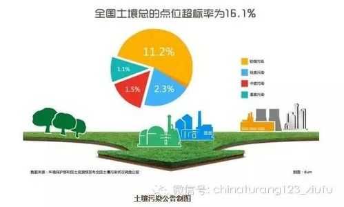 土壤污染结果（土壤污染八大案例）-图3