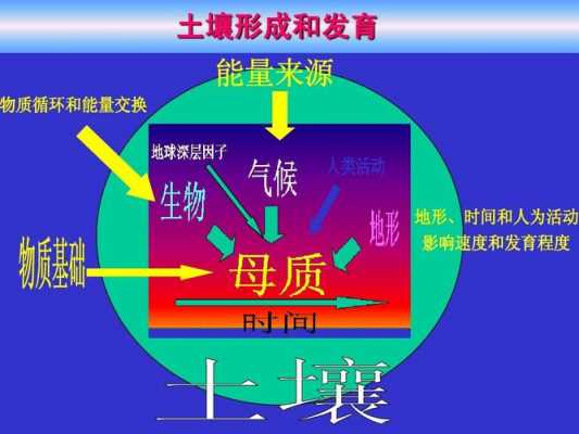 在土壤漫长的形成过程中（土壤形成的基本过程）