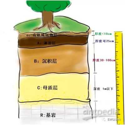 土壤分层五个层次（土壤分层五个层次作用）