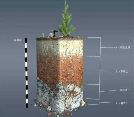 土壤刨面图（土壤剖面教学视频）