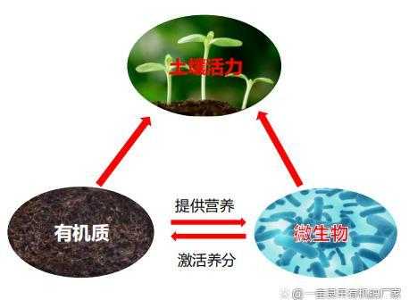 化肥土壤挥发（化肥挥发有毒吗）-图3