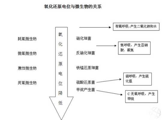 土壤氧化还原电位（土壤氧化还原电位与土壤通气性的关系）