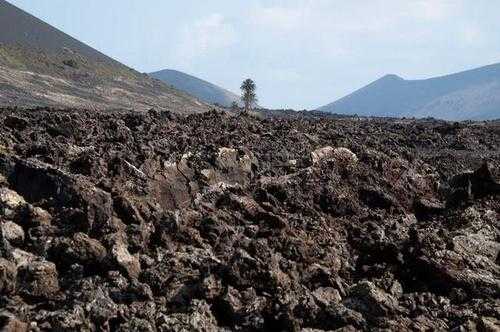 肥沃土壤氮磷（火山灰是肥沃的土壤吗）-图2