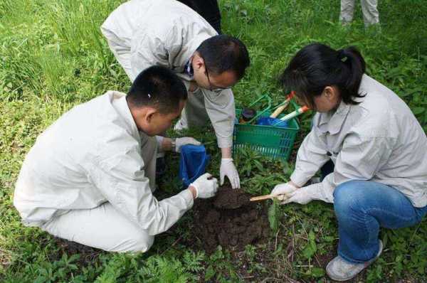 啊污染土壤（污染土壤检测）