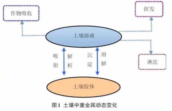 土壤重金属钝化（土壤重金属钝化优缺点）-图1