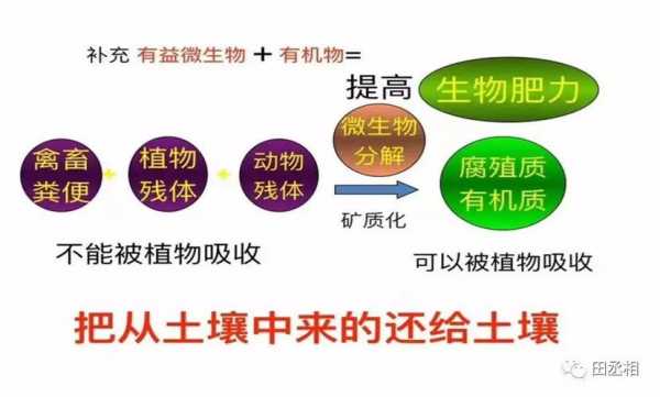 土壤宜肥性（何为土壤肥力）-图3