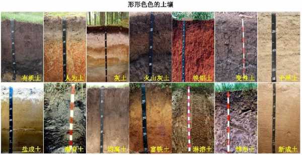 土壤颜色分布（土壤颜色分布示意图）-图1