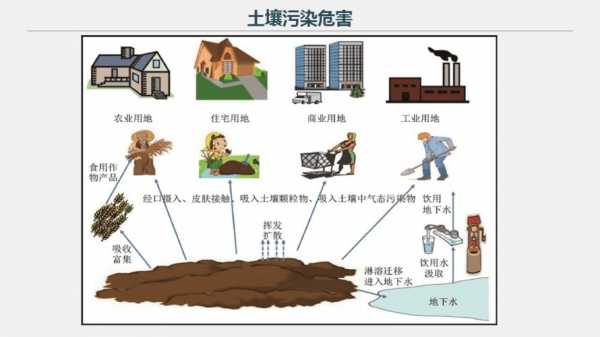 土壤污染防治的有效措施（土壤污染防治的有效措施是哪些）