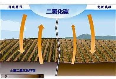 土壤固碳率（土壤的固碳作用）