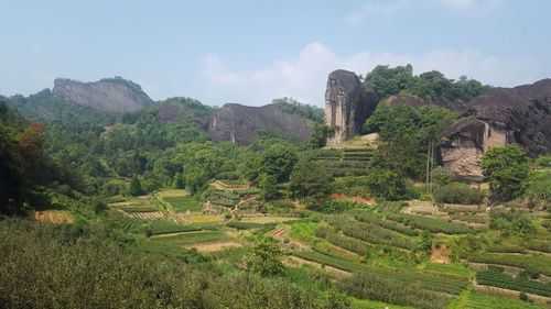 马头岩土壤（马头岩产区）