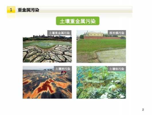 矿区土壤重金属污染（矿区土壤重金属污染有哪些）-图1