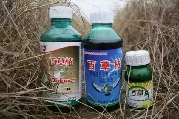 草甘膦和百草枯对土壤（草甘膦和百草枯能混用吗）