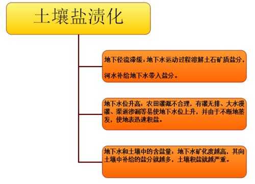 土壤盐渍化形成原因（土壤次生盐渍化的原因）