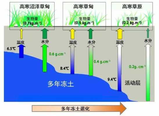 土壤果冻（土壤冻结和解冻的过程）