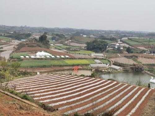 自贡土壤（自贡土壤资源概况和特点）