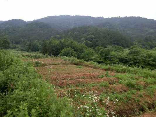 黄陂区土壤的简单介绍