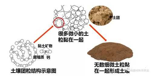 配土壤（配土壤的冰渣是什么成分做的）-图3