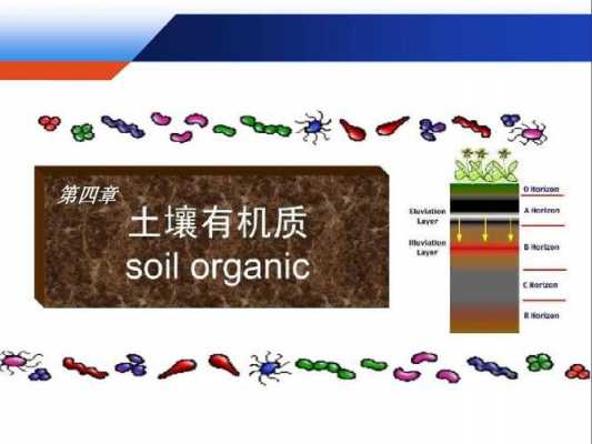 配土壤（配土壤的冰渣是什么成分做的）-图2