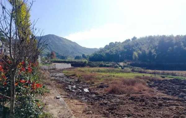 大塅镇土壤（大塱山村征地）