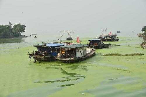 巢湖土壤污染（巢湖土壤污染类型）