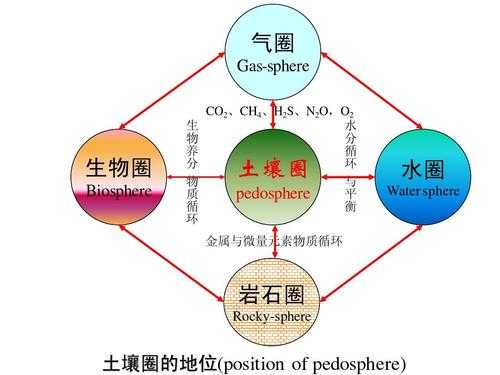 土壤圈属于（土壤圈属于其他圈的中心位置）