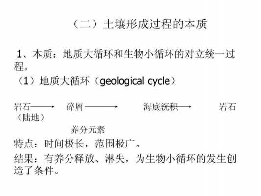 关于下面是土壤的形成过程简式的信息-图2