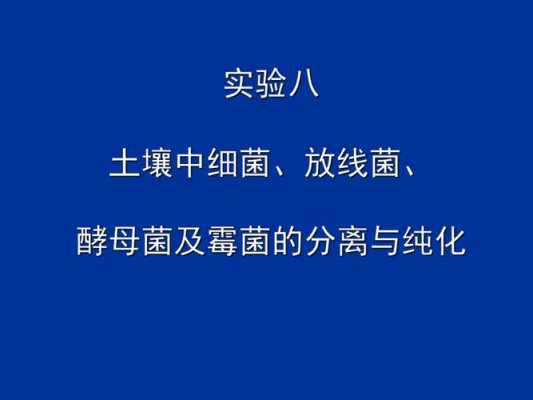 从土壤中分离酵母菌（从土壤中分离酵母菌的实验）-图1