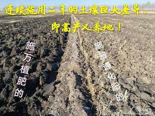 改良后的土壤（改良土壤什么意思）