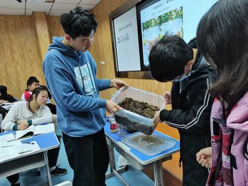 地理土壤模拟（地理土壤模拟实验视频）