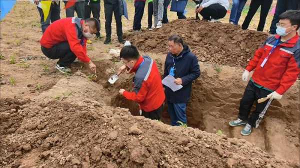 第一次土壤普查（第一次土壤普查为什么历经千辛万苦）