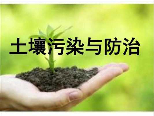 土壤污染生物防治（土壤污染生物防治意义）