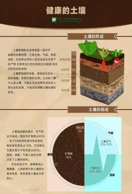 土壤的无效态（土壤的无效态是指）-图1