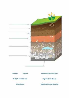 土壤分层（土壤分层五个层次图片）