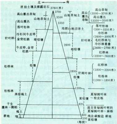 土壤垂直地带性（土壤垂直地带性形成的土壤类型）