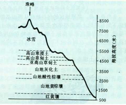 土壤垂直地带性（土壤垂直地带性形成的土壤类型）-图3