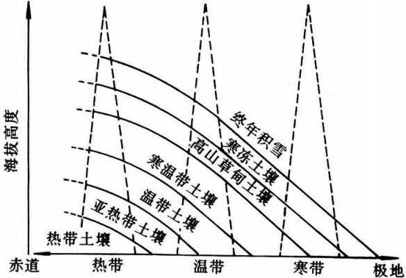 土壤垂直地带性（土壤垂直地带性形成的土壤类型）-图2