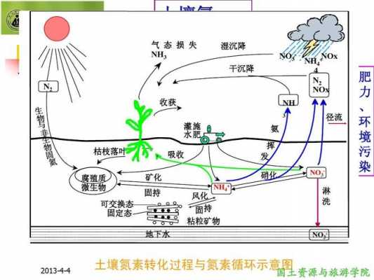 土壤氮素（土壤氮素循环过程）