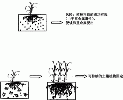 修整土壤（土壤修复怎么修复）