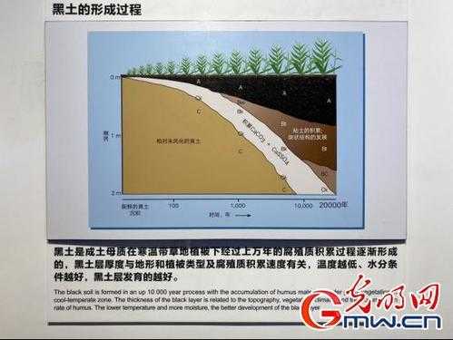 土壤基础地力（土壤地力是什么意思）-图3